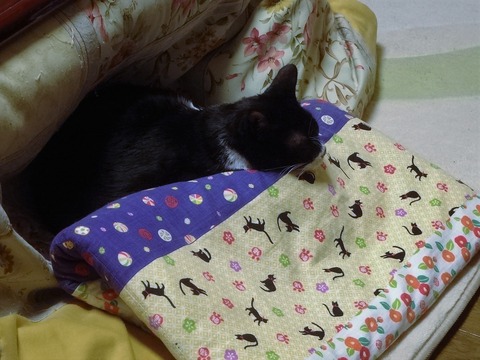 20190102そら