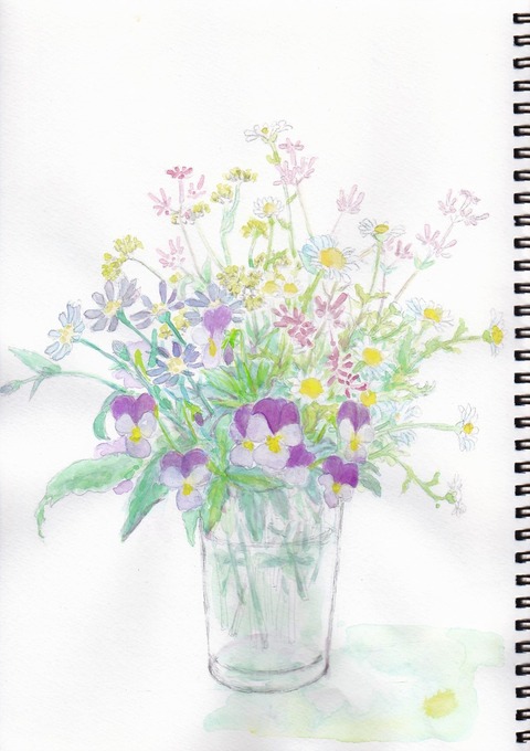 20190202春の花_切取色