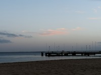 IMG_20201217_084027