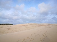 IMG_20201028_165140
