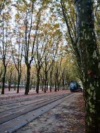 IMG_20201025_122632