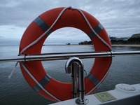 IMG_20201213_135849