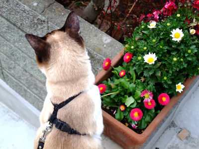 DSCF2417.jpg