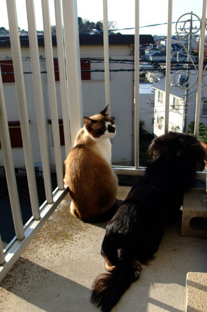 DSCF1548.jpg