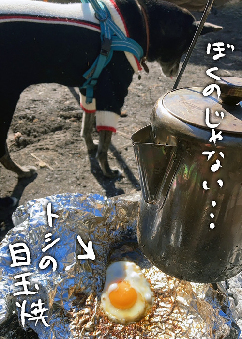 S__52502537