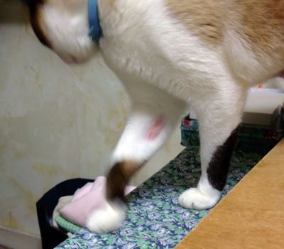 DSCF1692.jpg