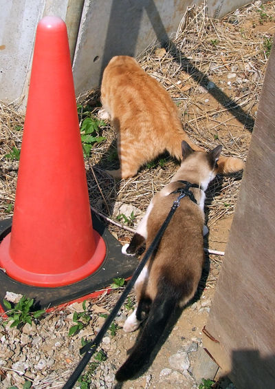 DSCF2552.jpg