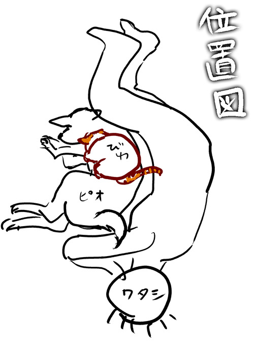 毛布の下