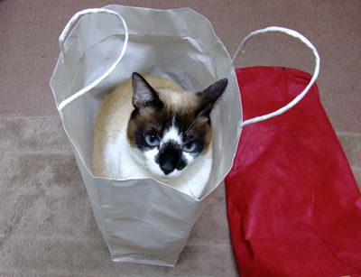 DSCF2418.jpg