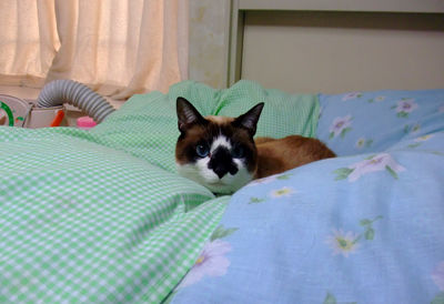 DSCF1552.jpg