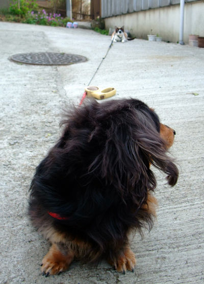 DSCF2877.jpg