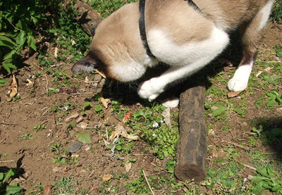 DSCF2486.jpg