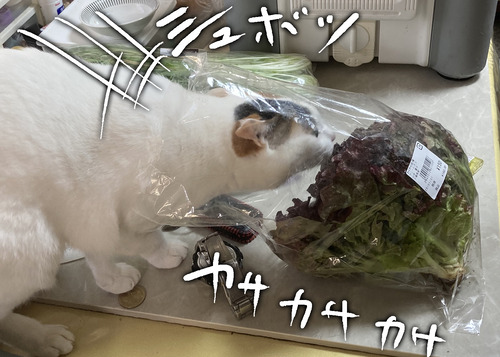 82B054E7-9E40-412D-B72B-F34AF8A8C48B