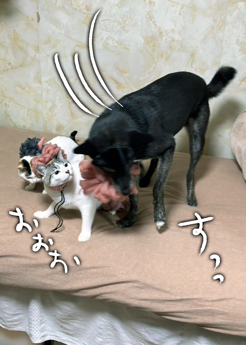 LINE_ALBUM_2025.2.2節分_250202_2