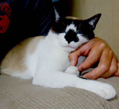 DSCF3657.jpg
