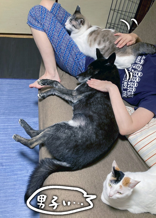 LINE_ALBUM_2025_250705_33