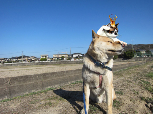 ゴン太郎さんと3