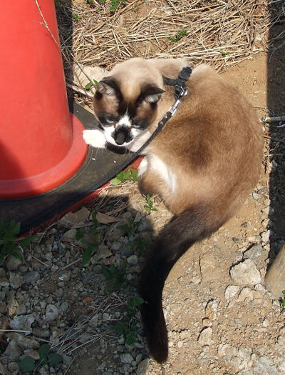 DSCF2558.jpg
