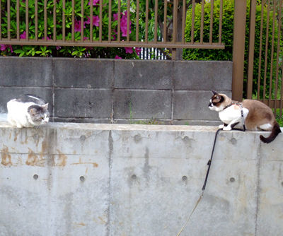DSCF3093.jpg