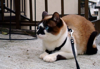 DSCF2416.jpg