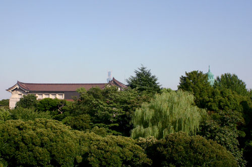 IMG_6650.jpg