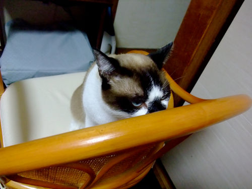 DSCF5455.jpg