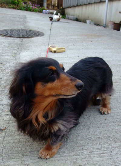 DSCF2870.jpg