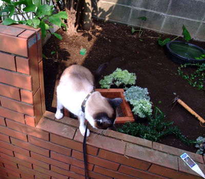DSCF3538.jpg