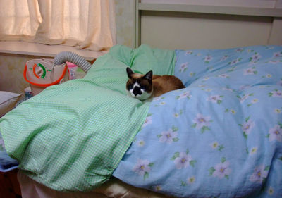 DSCF1550.jpg