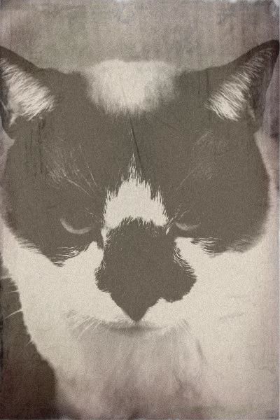 oldphoto01.jpg