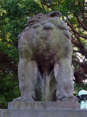 485.jpg