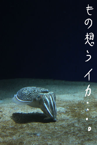 IMG_0800.jpg
