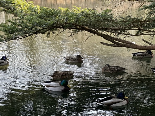 75DEAB99-5527-4C06-8BED-A10EB38DF11E