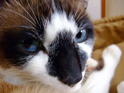 DSCF2087.jpg