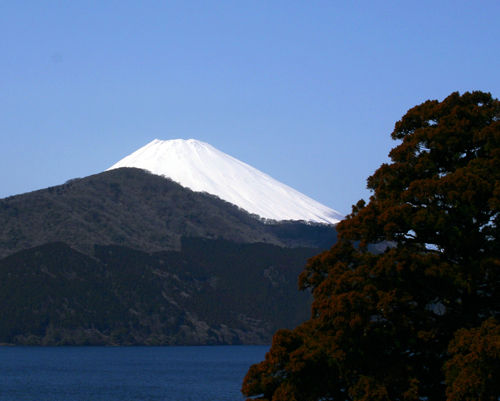 IMG_6162.jpg