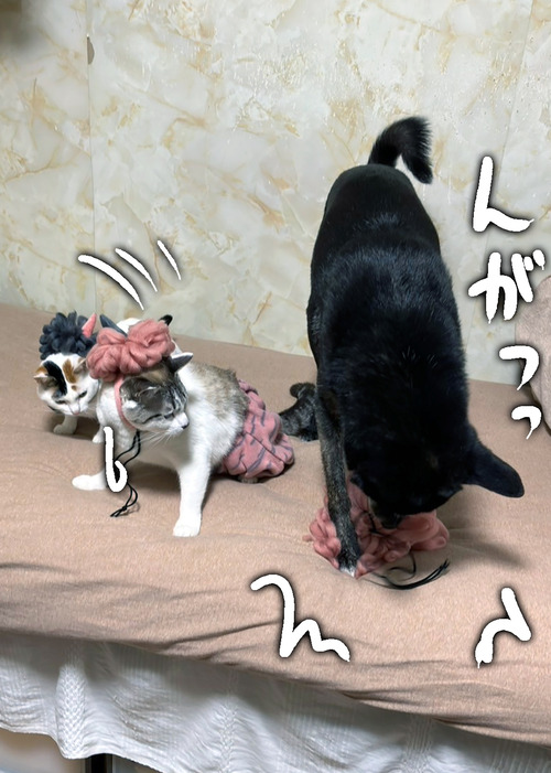 LINE_ALBUM_2025.2.2節分_250202_1