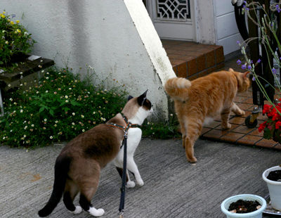 IMG_7499.jpg