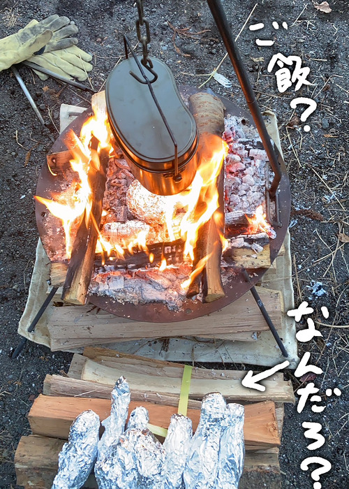 S__52338691