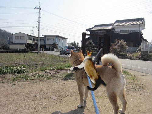 ゴン太郎さんと1