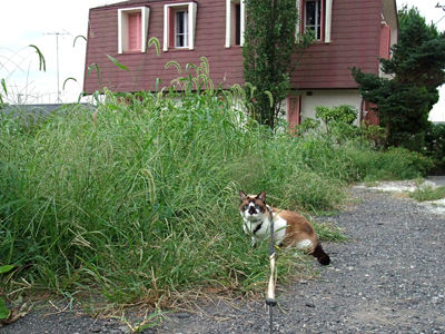 258.jpg