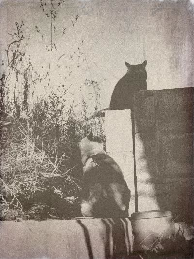 oldphoto-4.jpg