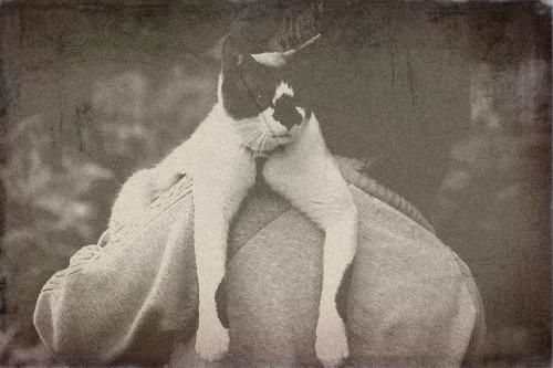 oldphoto-3.jpg