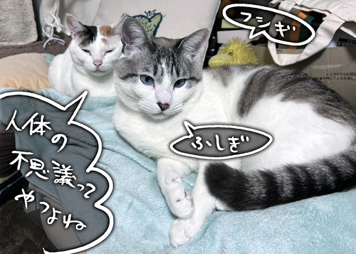 S__337829895
