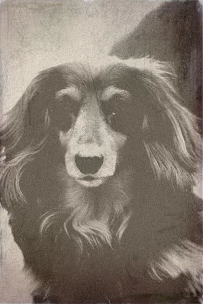 oldphoto-5.jpg