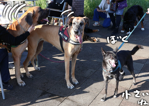 F69CE87A-5DC0-41BC-BFAE-444B27C07B18