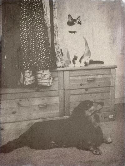 oldphoto-2.jpg
