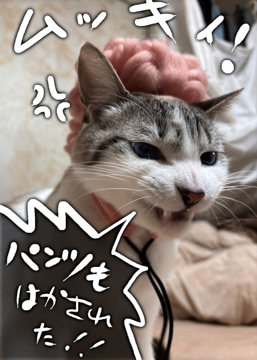 LINE_ALBUM_2025.2.2節分_250202_16