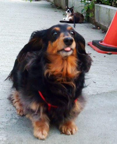 DSCF3504.jpg