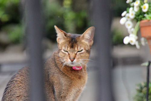 IMG_8921.jpg