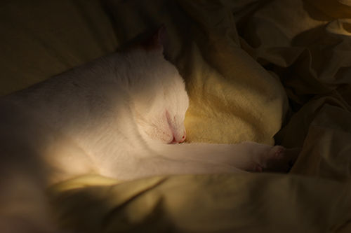 IMG_5671.jpg
